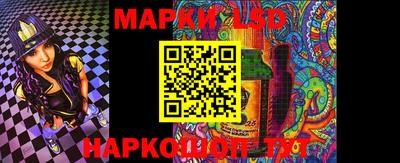 дмт Кингисепп