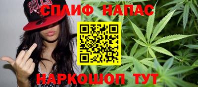 spice Кимры