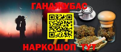дмт Кингисепп
