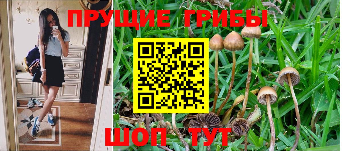 Галлюциногенные грибы MAGIC MUSHROOMS  где найти   Зерноград  Псилоцибиновые грибы мухоморы  Вход с VPN 