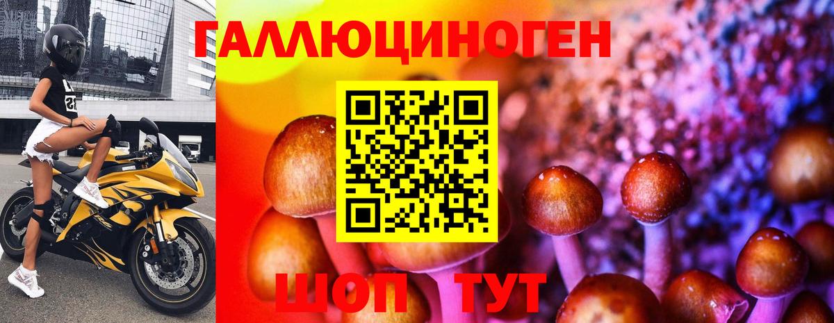 Псилоцибиновые грибы прущие грибы Зерноград